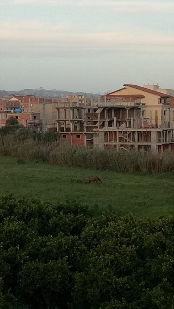 Provocările construcțiilor în mediul rural vs urban