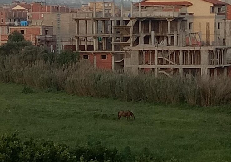 Provocările construcțiilor în mediul rural vs urban